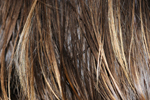 Que faire contre les cheveux gras ?
